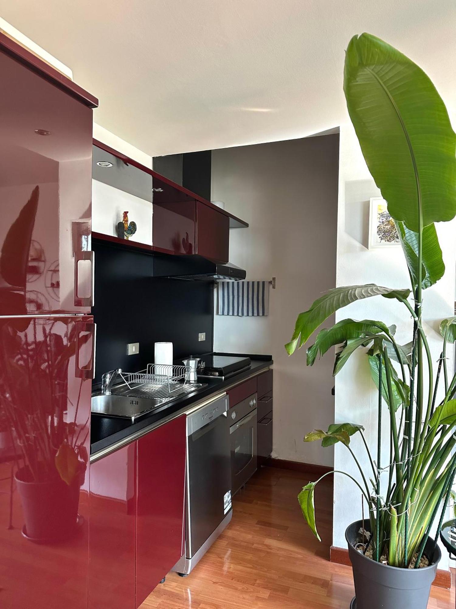 Urban Jungle - Attico Vista Duomo Apartment Milano Ngoại thất bức ảnh
