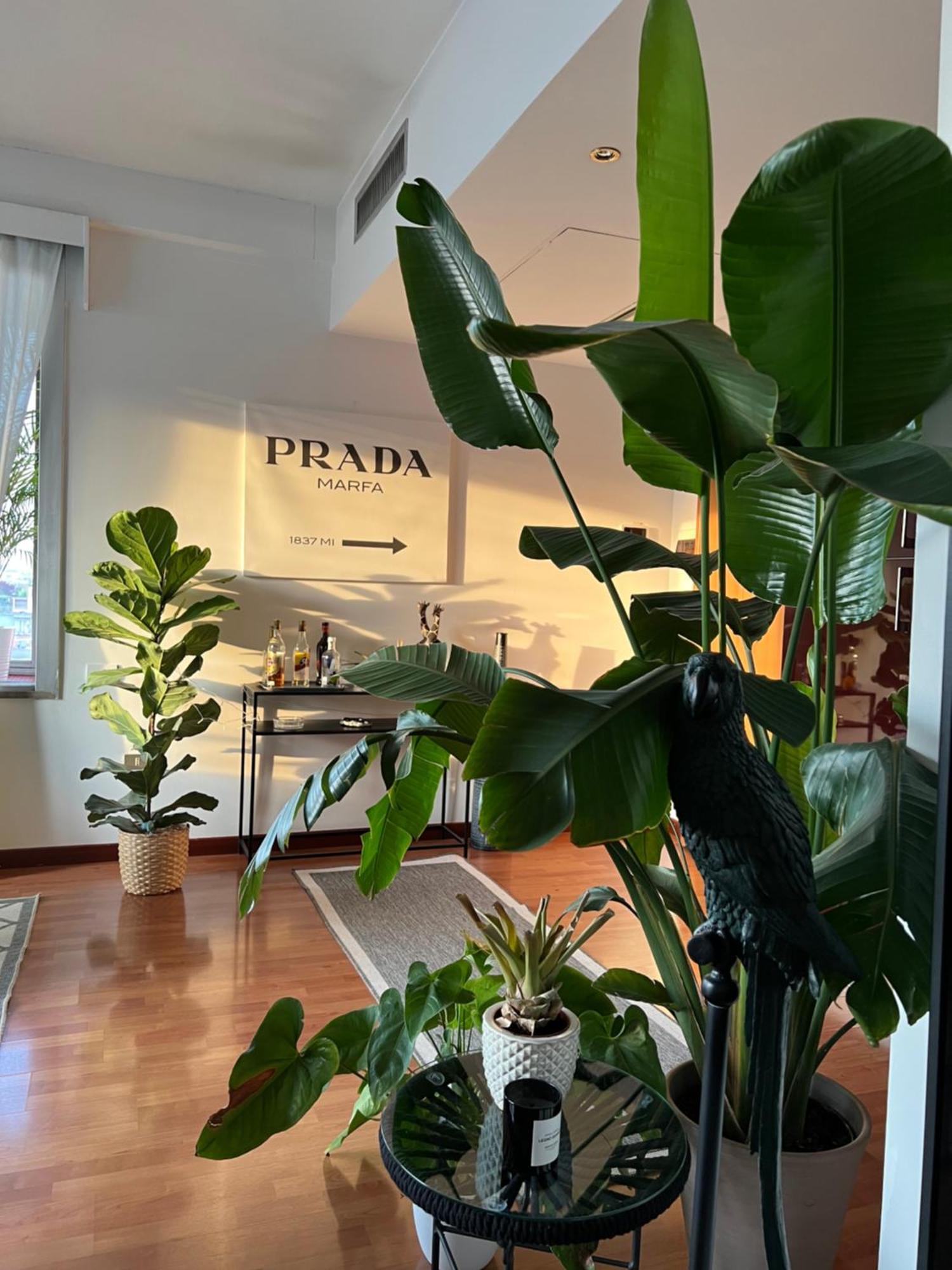 Urban Jungle - Attico Vista Duomo Apartment Milano Ngoại thất bức ảnh